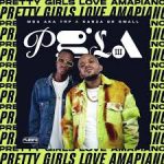 Burna Boy Angelina Amapiano Song Ft. Kabza De Small mp3 download