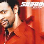 Shaggy – It Wasnt Me Ft. Rik Rok