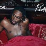 Fireboy DML Playboy Video Download