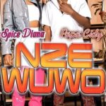 Spice Diana Nze Wuwo Ft Papa Cidy Mp3 Download