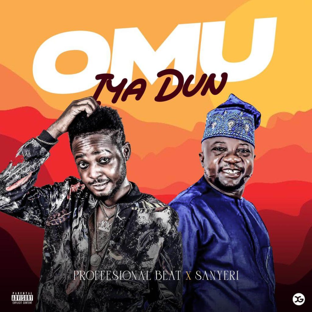 Professional beat ft Sanyeri Omu Iya Dun Cruise Beat Mp3 Download