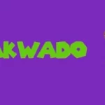 Tiktok Song – African Songs SAKWADO Sped Up