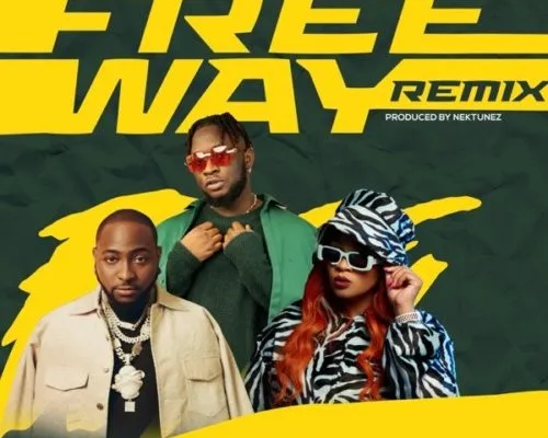 Tripsy Lady Du Davido Nektunez Freeway Remix ft. DJ Pee Raven Mp3 Download