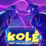 W BAR ft. Ycee DwillsHarmony Kole mp3 download