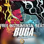 Download kizz daniel ft. tekno buga Instrumental beat