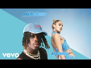 Adelen Mala ft. Fireboy DML mp3 download