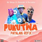 Dj Skipo Ft Patalabi X Portable Pukutwa Patalabi Refix Mp3 Download