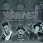 King Tone SA, TNK MusiQ & Calvin Shaw Shukumisa mp3 download