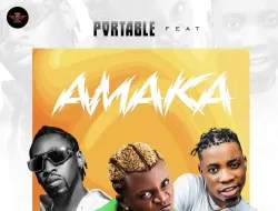 Portable ft Orezi Li2 Doctor – Amake