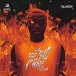 Ruger Warning Lyrics mp3 download