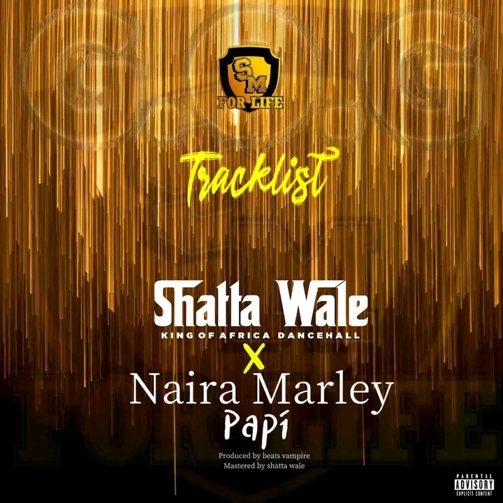 Shatta Wale Papi ft. Naira Marley Mp3 Download