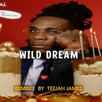 Burna Boy — Common Person (Instrumental) Mp3 Download