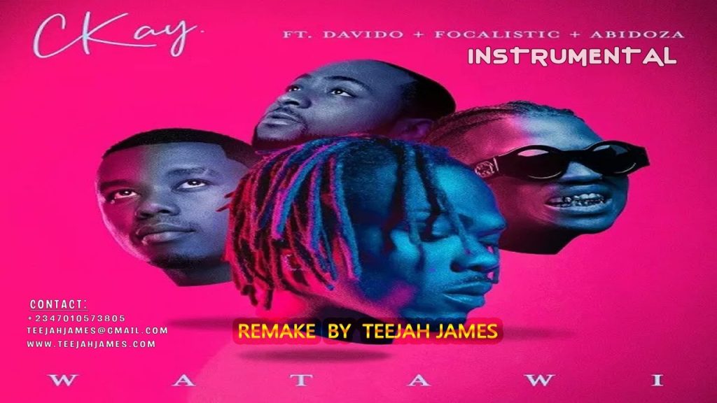 CKay Ft. Davido Watawi (Instrumental) Mp3 Download