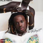 Fireboy DML Low key Mp3 Download