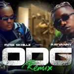 Eltee Skhillz ft Rayvanny ODG Remix mp3 download