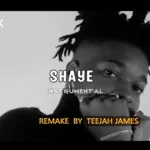 Magixx Shaye Instrumental mp3 download