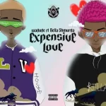 Wadude ft Bella Shmurda Expensive Love mp3 download