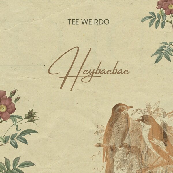 Tee Weirdo Heybaebae mp3 download