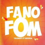 Tulenkey Fa No Fom Ft. Medikal mp3 download