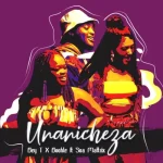 Bey T Unanicheza Ft. Boohle & Soa Mattrix mp3 download