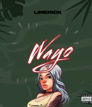 Limerick WAYO mp3 download