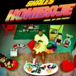 Skales Konibaje mp3 download