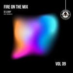 DJ Lawy Ft. Hypeman Tiz – Fire On The Mix (Vol. 9 Live Section)