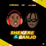 Dj Yk Mule Shekere & Banjo ft. Lil Kold mp3 download