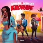 Suono Sai Kilowade ft. Berri Tiga mp3 download