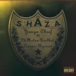 Yanga Chief Shaza Ft. Okmalumkoolkat & Cassper Nyovest mp3 download