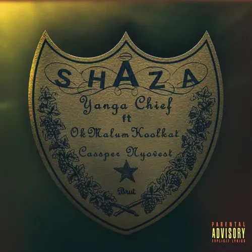 Yanga Chief Shaza Ft. Okmalumkoolkat & Cassper Nyovest mp3 download