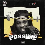 Tidinz Possible mp3 download