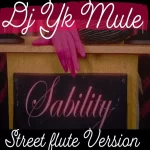 Dj Yk Mule – Sability (Street Flute Version) mp3 download