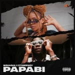 Mishasha Papabi Ft. Stonebwoy mp3 download