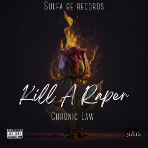 Chronic Law – Kill A Raper