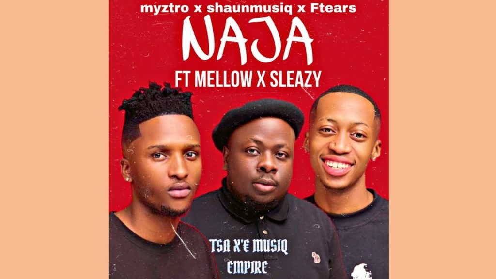 Myztro, ShaunMusiq & Ftears ft Mellow & Sleazy – Naja Naja