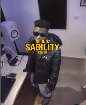 Soundz Sability Cover