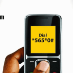 How To Check BVN Online Using MTN, GLO, Airtel, 9mobile