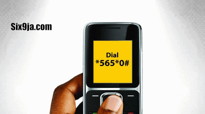 How To Check BVN Online Using MTN, GLO, Airtel, 9mobile