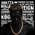 SHATTA WALE – SHOE SHU LIN FL MS