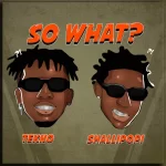 Tekno – TekPiano Ft. Shallipopi