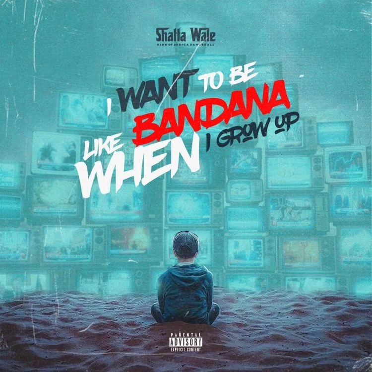 Shatta Wale – I Want To Be Like Bandana