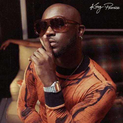 King Promise – Perfect Combi ft. Gabzy