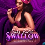 Vybz Kartel – Swallow