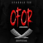 Sparkle Tee – Ofor