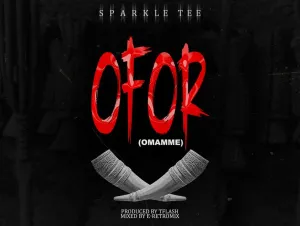 Sparkle Tee – Ofor