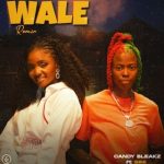 Candy Bleakz – Wale (Remix) ft. Simi