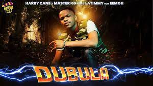 HarryCane, Master KG & DJ LaTimmy ft Eemoh – Dubula (Remix)