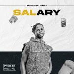 Mascara Vibez – Salary