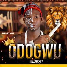 Wilibobi – Odogwu